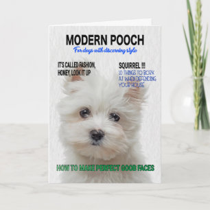 Maltese Terrier Parody Magazine Cover Card
