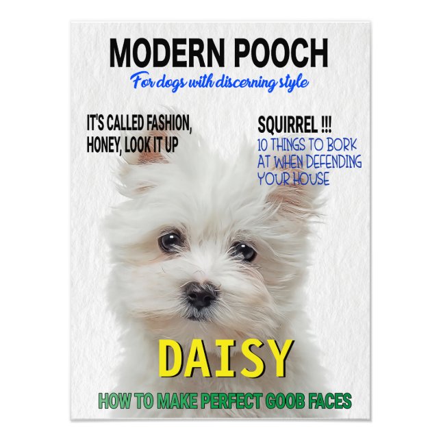 Maltese Terrier Parody Magazine Cover Photo Print (Front)