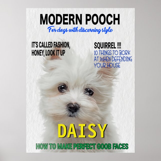 Maltese Terrier Parody Magazine Cover Poster (Front)