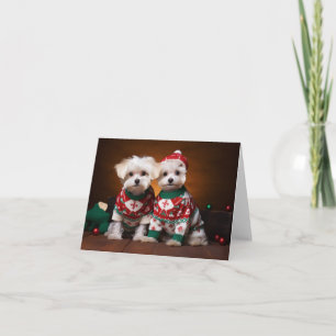 Maltese Terrier Puppies Christmas Card