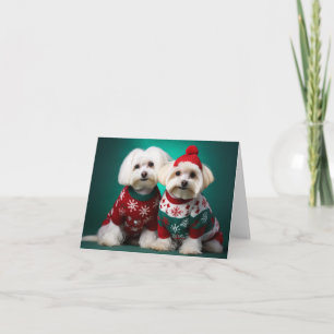 Maltese Terriers Christmas Card