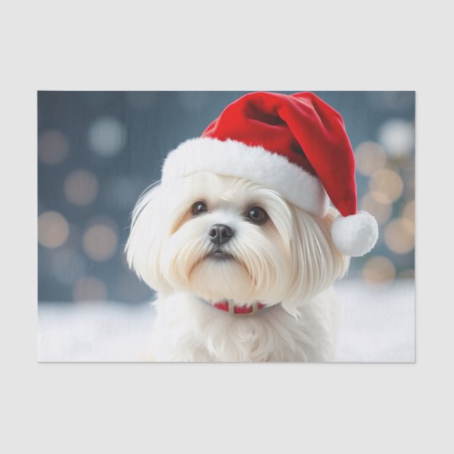 Maltese Tissue Paper (Front)