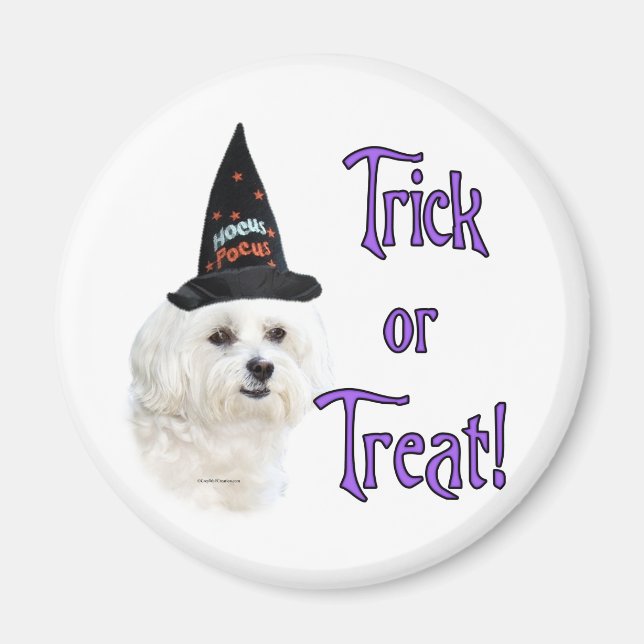 Maltese Trick Magnet (Front)