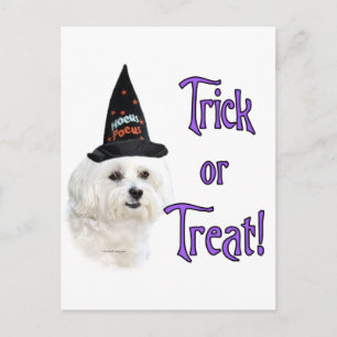 Maltese Trick Postcard