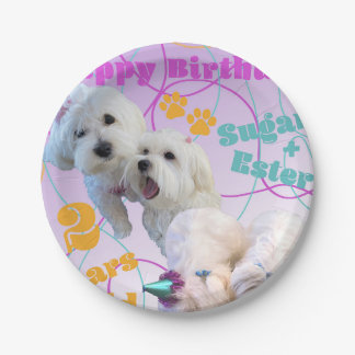 Maltese Twins Plates