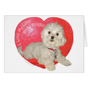 Maltese Valentine's Day