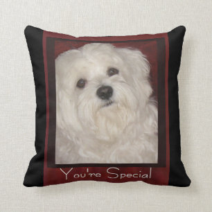 Maltese 'You're Special' Pillow-Wht/Black/Burgundy Throw Pillow