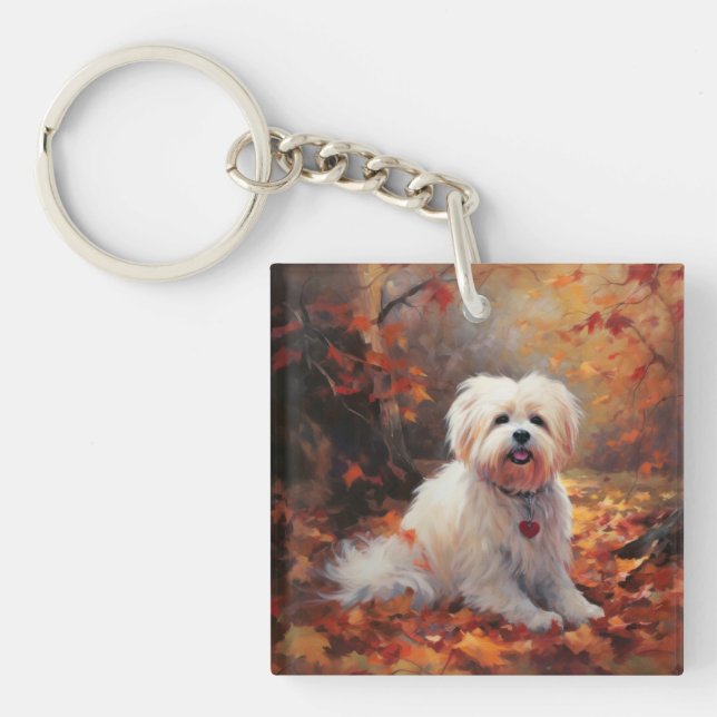 Malti Tzu à l'automne Feuilles automne Inspire (Devant)