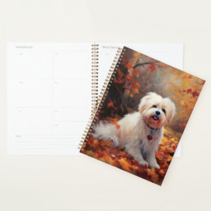 Malti Tzu à l'automne Feuilles automne Inspire