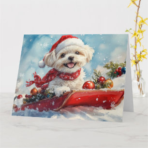 Malti Tzu  Dog in Sledge Let it Snow Christmas Card
