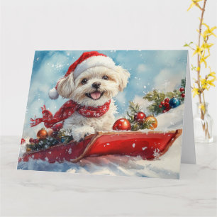 Malti Tzu  Dog in Sledge Let it Snow Christmas Card