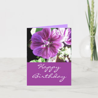 Malve -happy birthday card