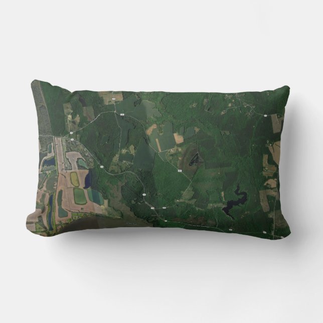 Malvern Hill Farm lumbar support Pillow (Front)