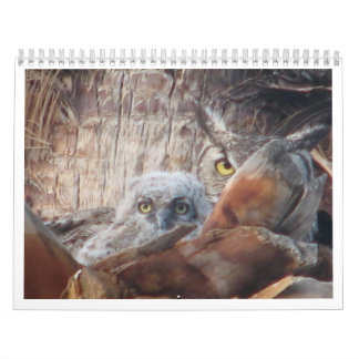 Mama And Baby Owls In A Palm Tree Calendar