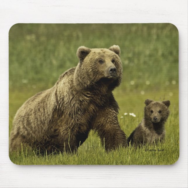 Mama bear and cub mouse pad (Front)
