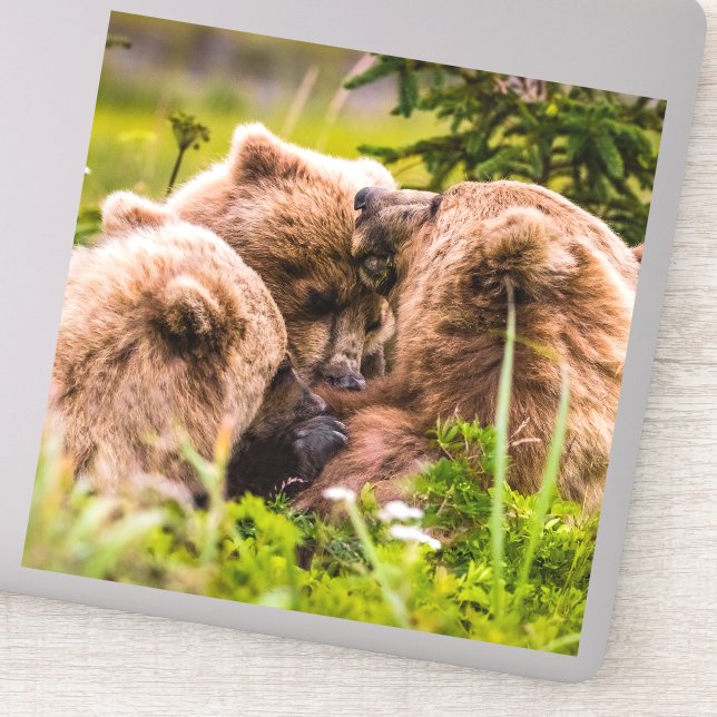 Mama bear nursing her two cubs, Lake Clark Nationa (Detail)