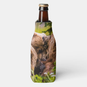 Mama bear nursing her two cubs, Lake Clark Nationa Bottle Cooler