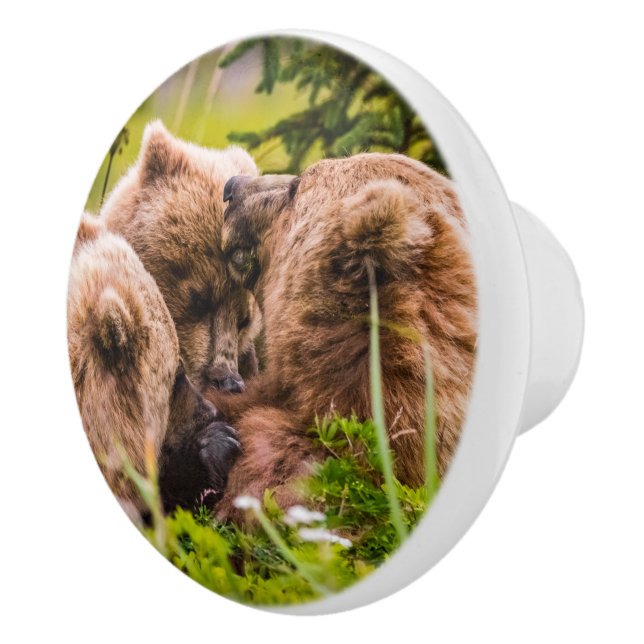 Mama bear nursing her two cubs, Lake Clark Nationa Ceramic Knob (Right)