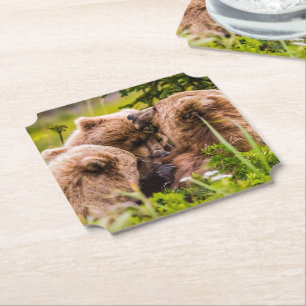 Mama bear nursing her two cubs, Lake Clark Nationa Paper Coaster