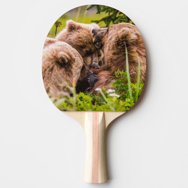 Mama bear nursing her two cubs, Lake Clark Nationa Ping Pong Paddle (Front)