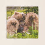 Mama bear nursing her two cubs, Lake Clark Nationa Scarf<br><div class="desc">Bears are clever animals and in Lake Clark National Park, they’ve learned to take advantage of human presence. Mothers with cubs are particularly aware of the danger male bears represent for their offspring. Almost one-in-three cubs are killed by males during the mating season, which extends from early May to mid...</div>
