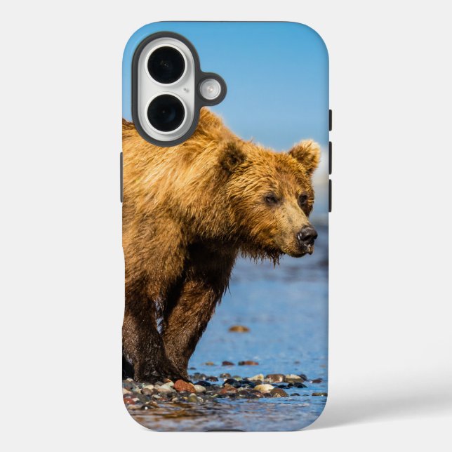 Mama bear watching her two kids Case-Mate iPhone case (Back)
