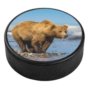 Mama bear watching her two kids hockey puck