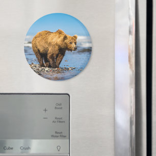 Mama bear watching her two kids magnet