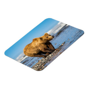 Mama bear watching her two kids magnet