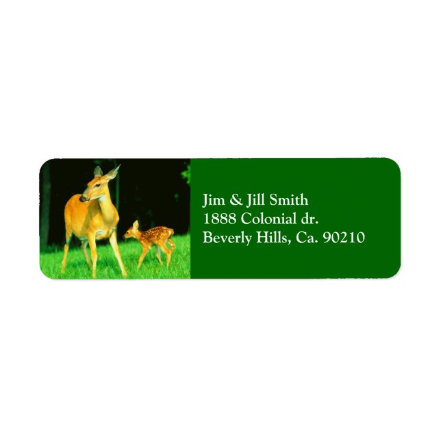 Mama Deer & Baby Fawn (Front)
