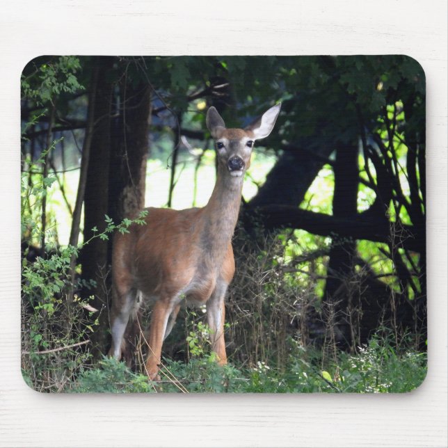 Mama Deer in the woods Mouse Pad (Front)