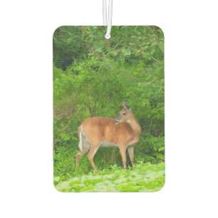 Mama Deer standing in a Pond of Greenery Air Freshener