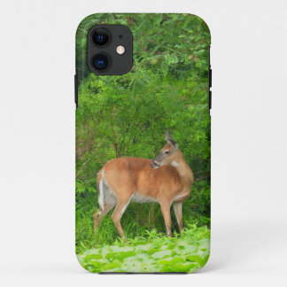 Mama Deer standing in Pond iPhone 11 Case
