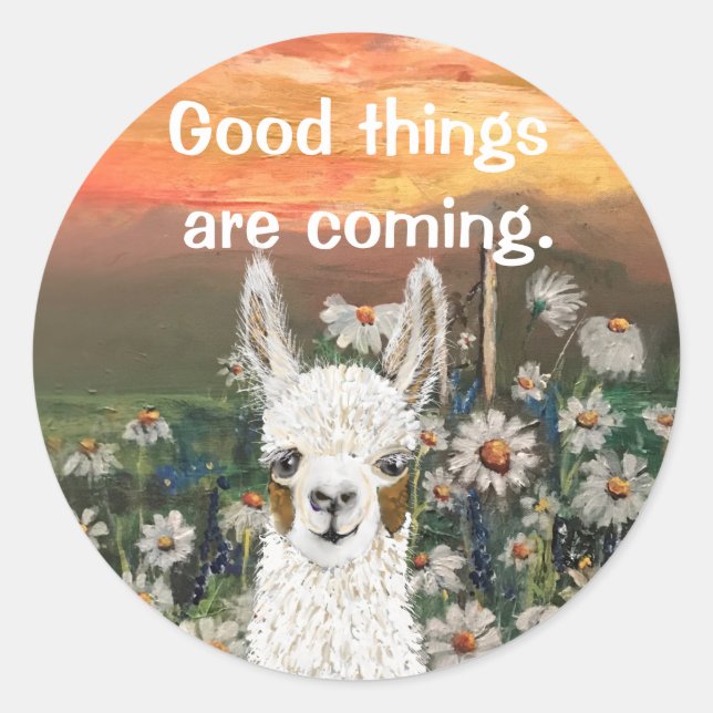 Mama Llama With Beautiful  Daisy Field Background Classic Round Sticker (Front)