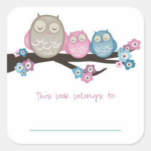 Mama Owl & Twins {Pink & Blue} Bookplates Square Sticker
