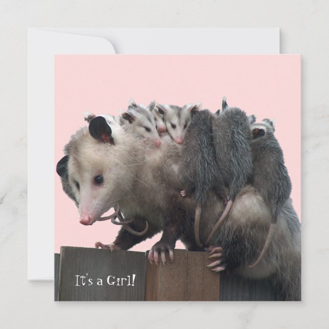 Mama Possum Invitation Baby shower humoristique (Devant)