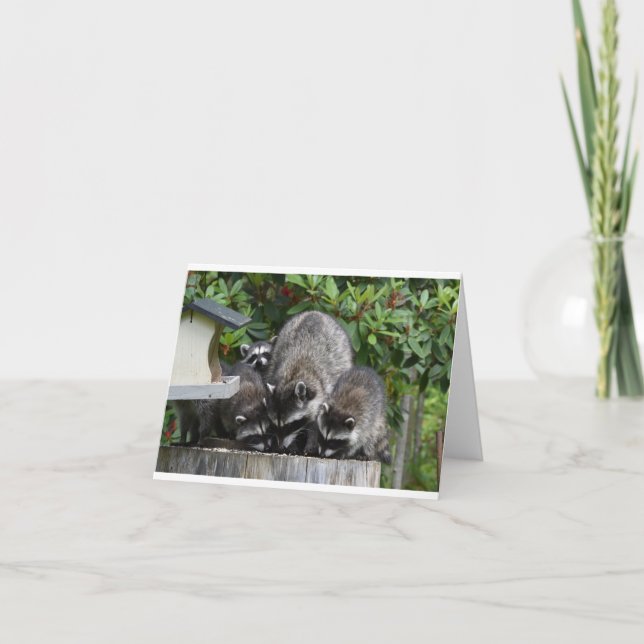 Mama Raccoon and Her Babies Card (Front)