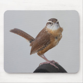 Mama Wren Mouse Pad