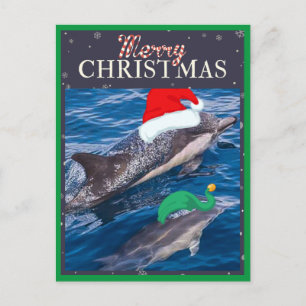 Maman de Joyeux Noël et carte postale de dauphin