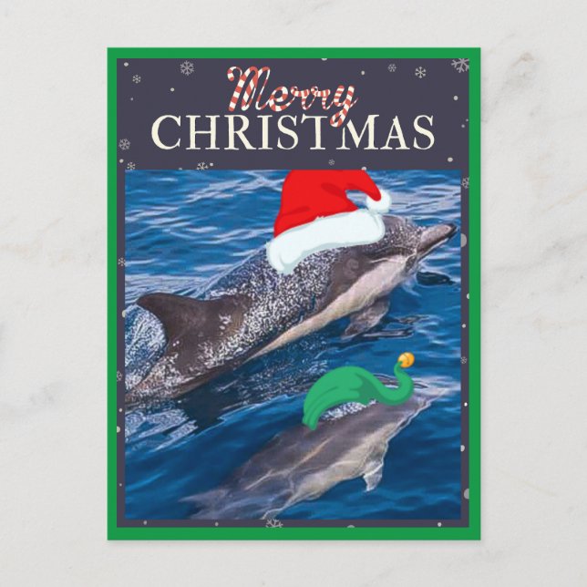 Maman de Joyeux Noël et carte postale de dauphin (Devant)