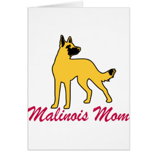Maman de Malinois de Belge