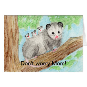Maman d'Opossum