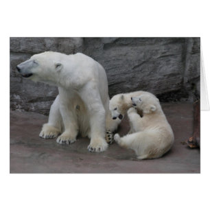 Maman et petits ours d'ours polaires
