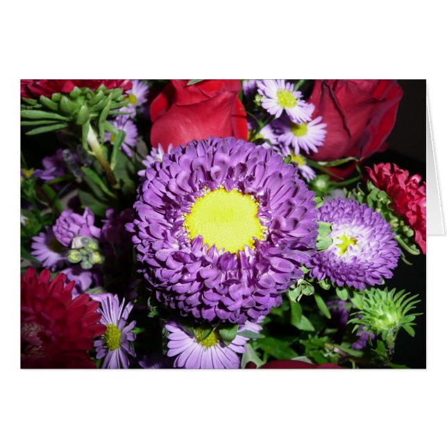 Maman Pom pourpre (Devant horizontal)