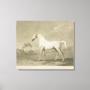 Mambrino, after George Stubbs, 1788 (mezzotint) Canvas Print