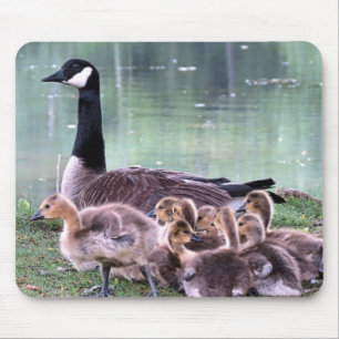 Mamma Goose and Babies Mouse Pad