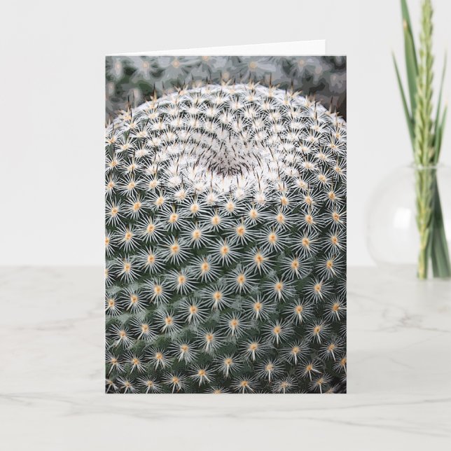 Mammillaria elegans carte pour notes (Devant)