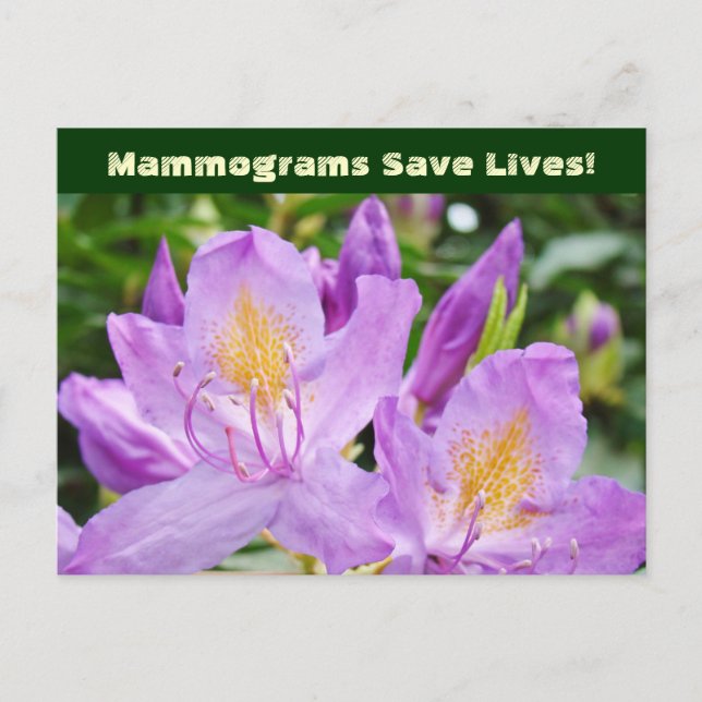 Mammogrammes Sauver des vies ! cartes postales Fle (Devant)