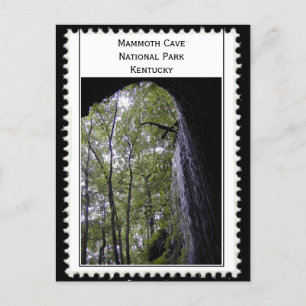 Mammoth Cave Kentucky Postcard