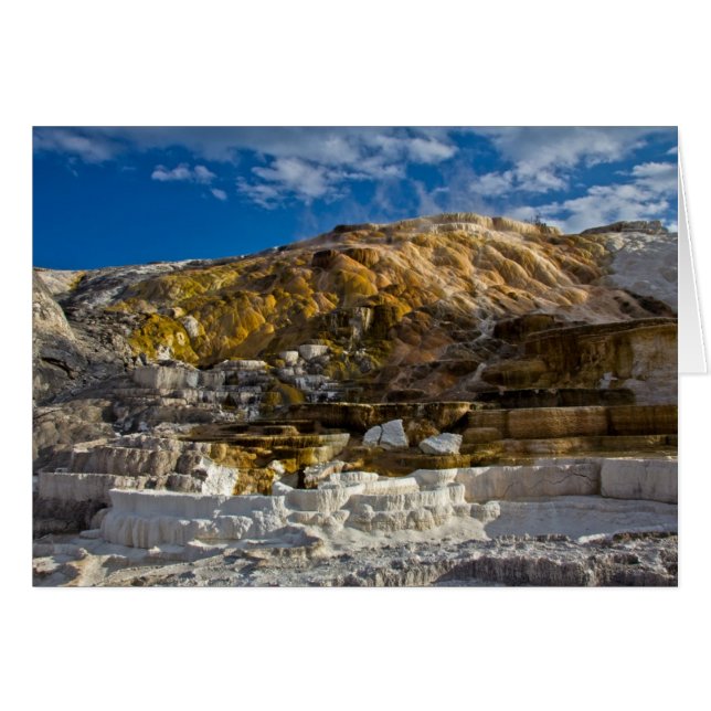 Mammoth Hot Spring (Front Horizontal)